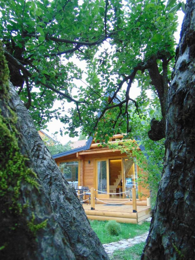Apple House Villa Cetinje Esterno foto